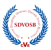 SDVOSB-300x297